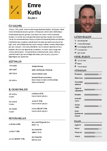 cv indir